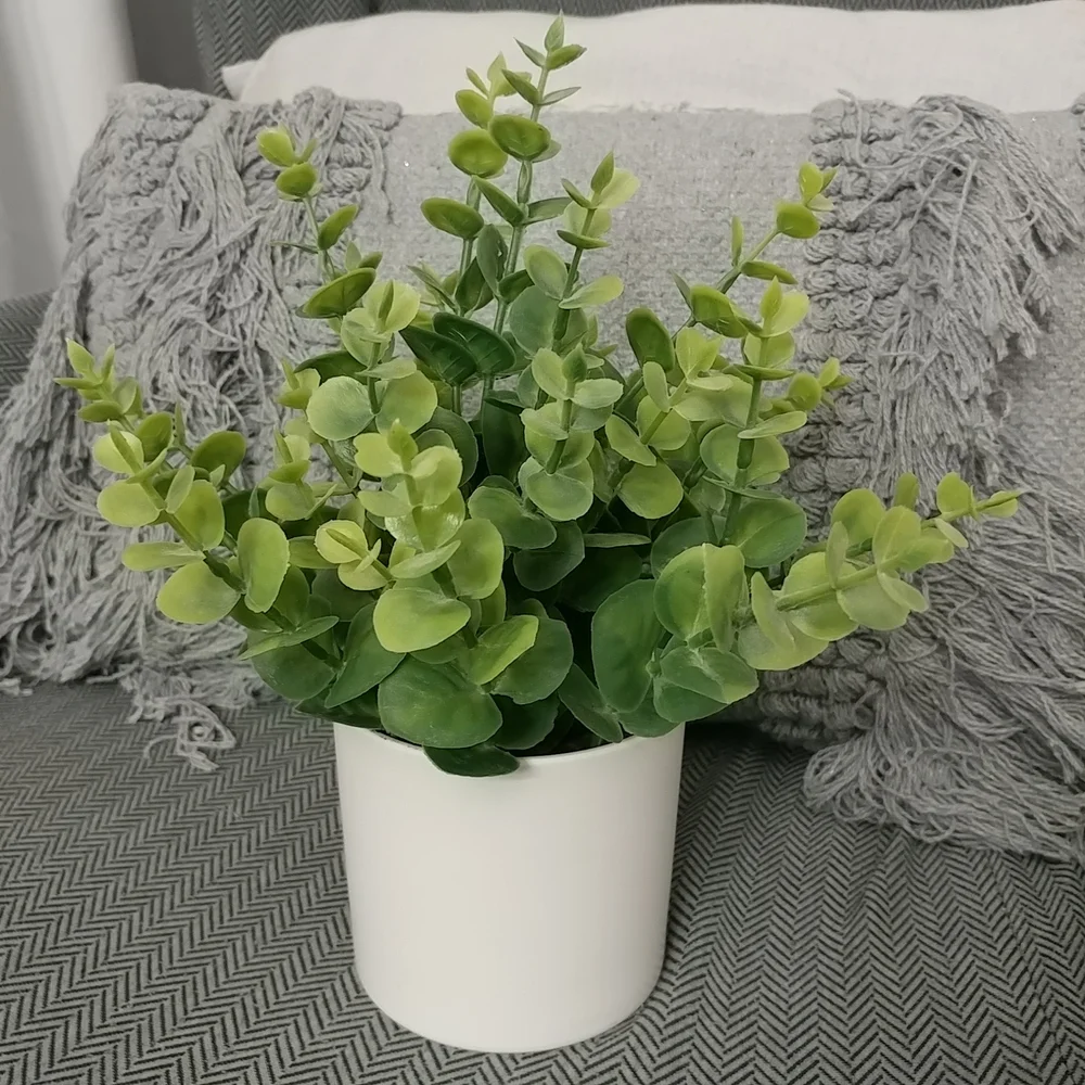 Boxwood Faux Plant Artificial Green Boxwood Arrangement White Planter- Threshold